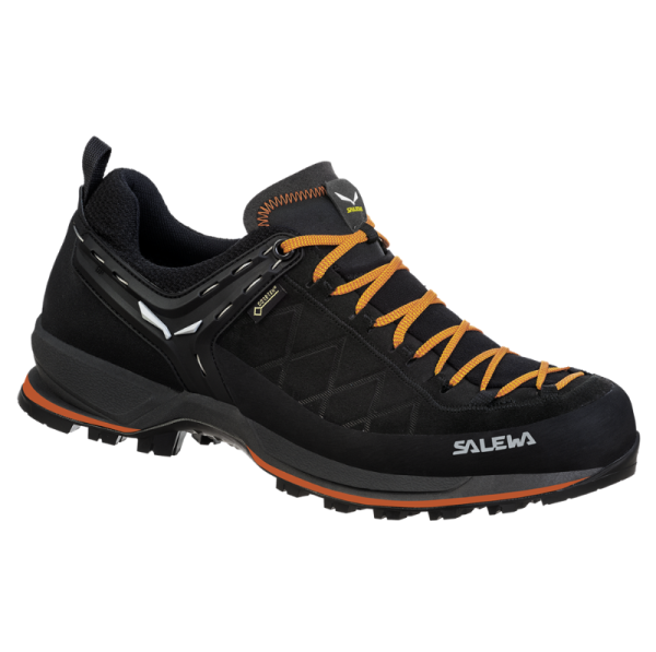 Salewa MS MTN Trainer 2 GTX