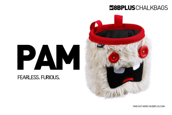 8BPlus PAM